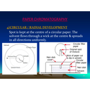 activity-2-simple-classification-of-substances